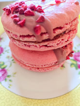 Load image into Gallery viewer, XL MACARONS